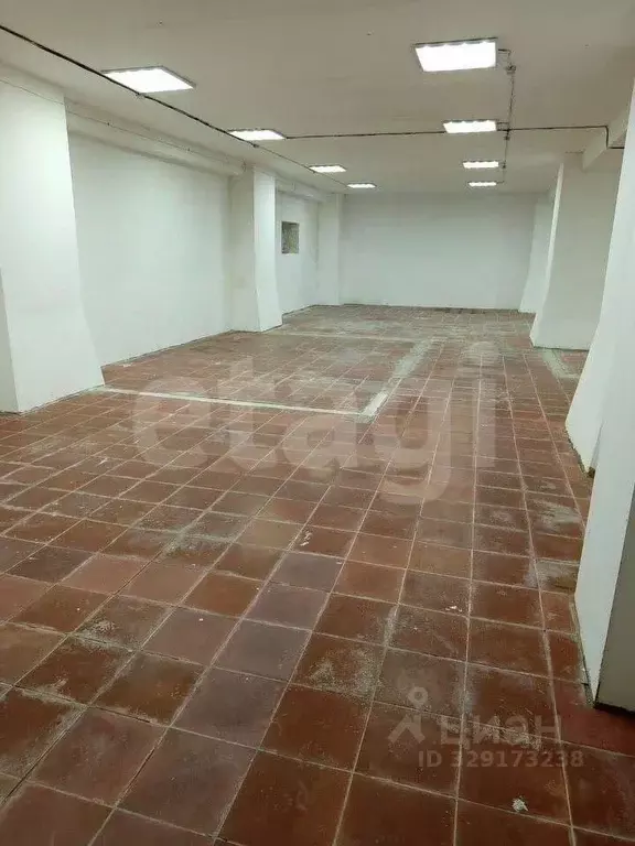 Помещение свободного назначения в Новосибирская область, Новосибирск ... - Фото 1