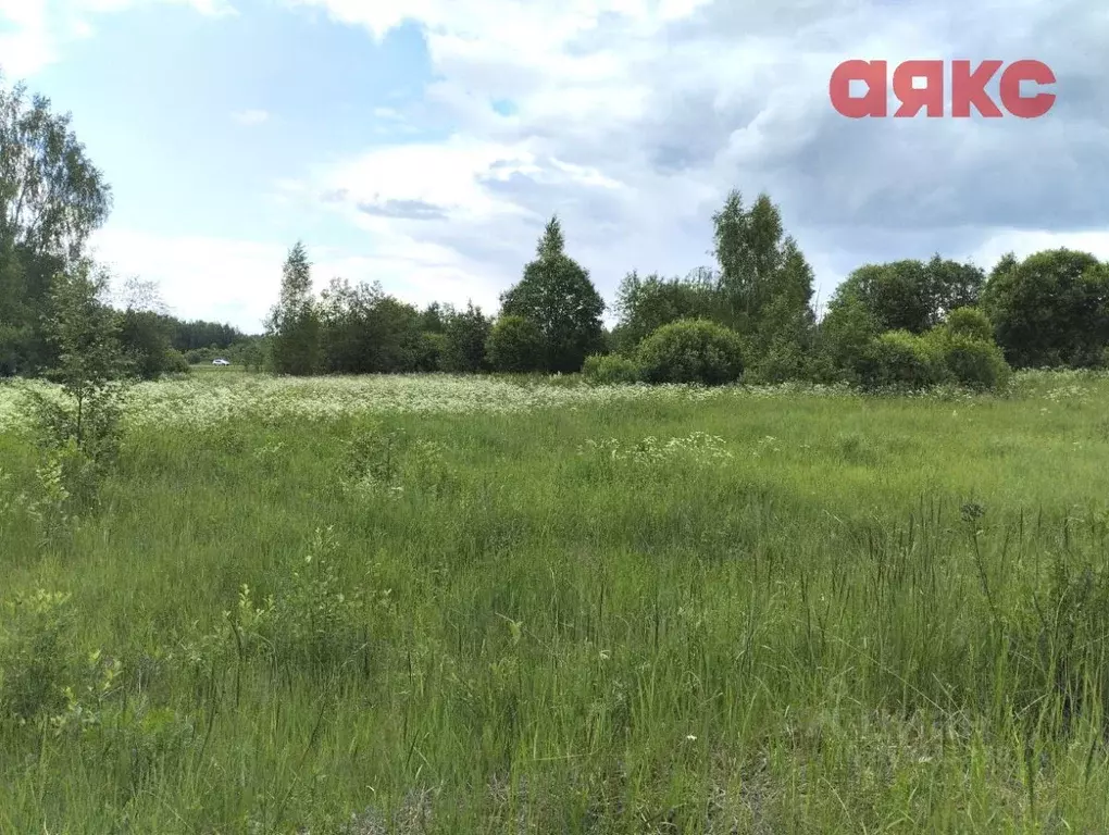Участок в Ярославская область, Гаврилов-Ямский муниципальный округ, ... - Фото 2