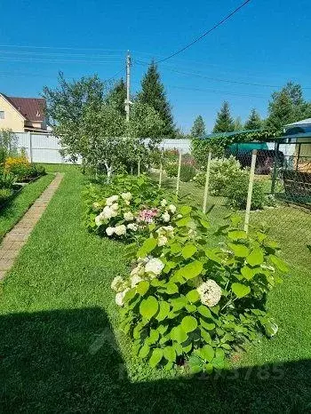 Участок, 6 сот., сельхоз (снт или днп) - Фото 0
