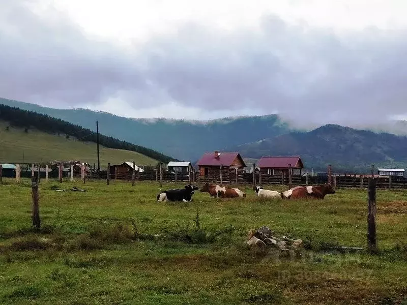 Участок в Иркутская область, Иркутский муниципальный округ, пос. ... - Фото 1