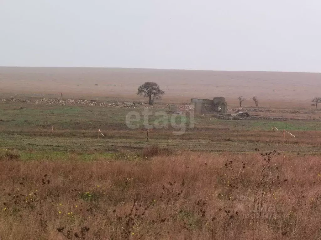 Участок в Крым, Черноморский район, Оленевское с/пос, с. Оленевка  ... - Фото 1