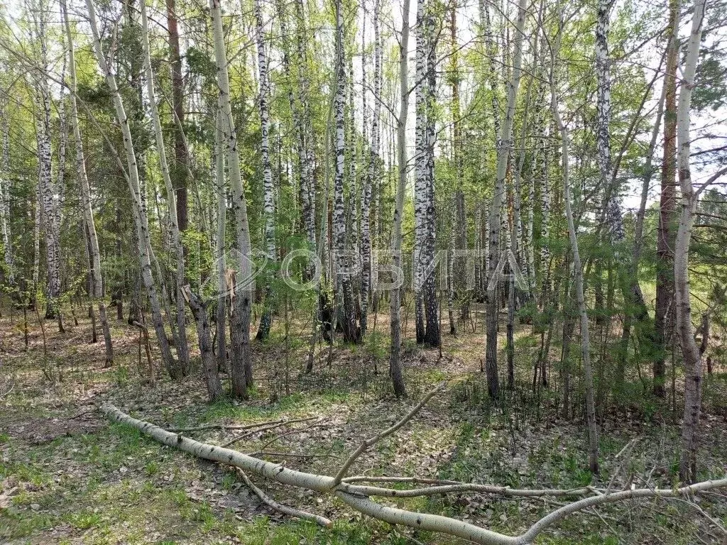 Участок в Тюменская область, Тюмень Войновка мкр,  (15.0 сот.) - Фото 1