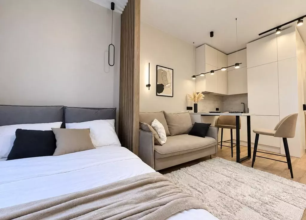 Студия Москва Ленинградский просп., 35С2 (20.5 м) - Фото 1