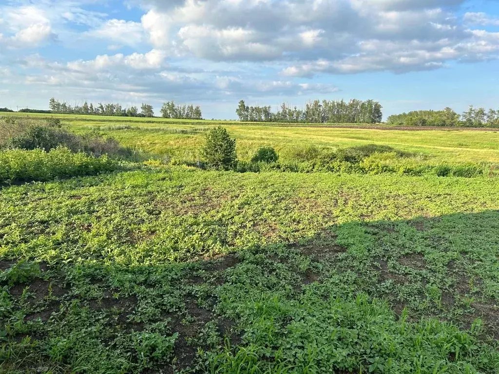 Участок в Башкортостан, Уфимский район, Русско-Юрмашский сельсовет  ... - Фото 0