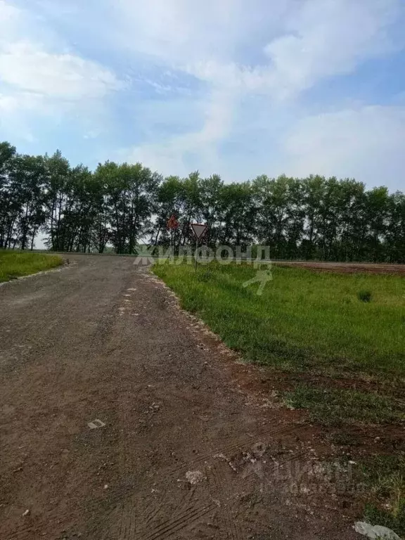 Участок в Новосибирская область, Ордынский район, с. Вагайцево Южная ... - Фото 1