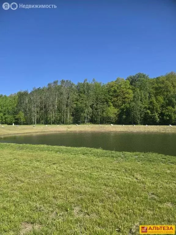 Участок в посёлок Холмогоровка, Южная улица, 64 (9.13 м) - Фото 1