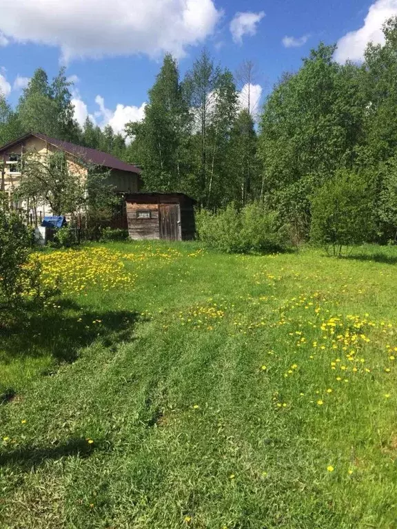 Участок в Тверская область, Конаковский муниципальный округ, Солнечный ... - Фото 1