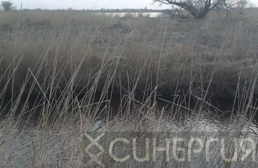 Участок в Ростовская область, Азовский район, Рогожкино хут.  (7.5 ... - Фото 1