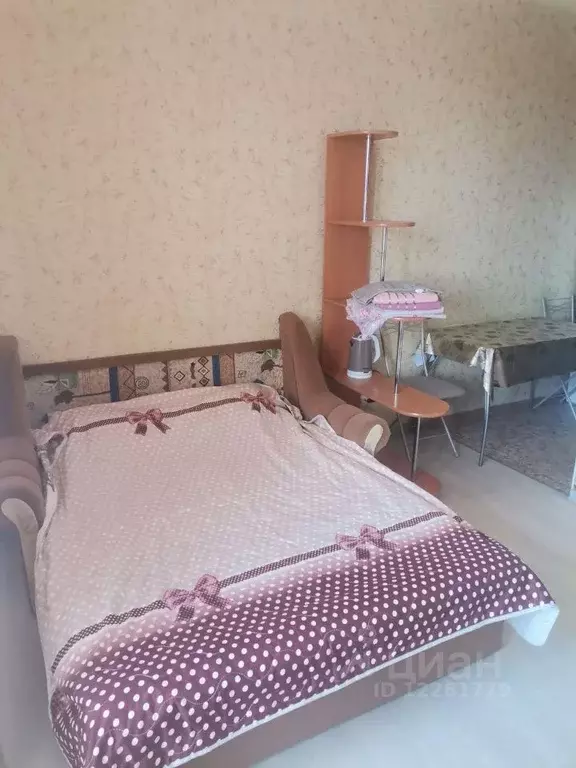 Студия Ленинградская область, Кировск Набережная ул., 17 (29.5 м) - Фото 0