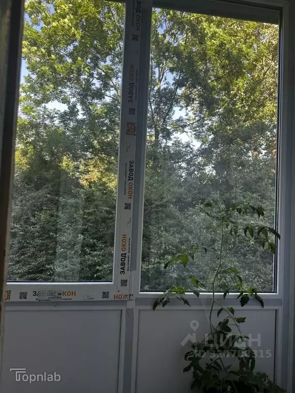 1-к кв. Калининградская область, Калининград Черниговская ул. (21.3 м) - Фото 2