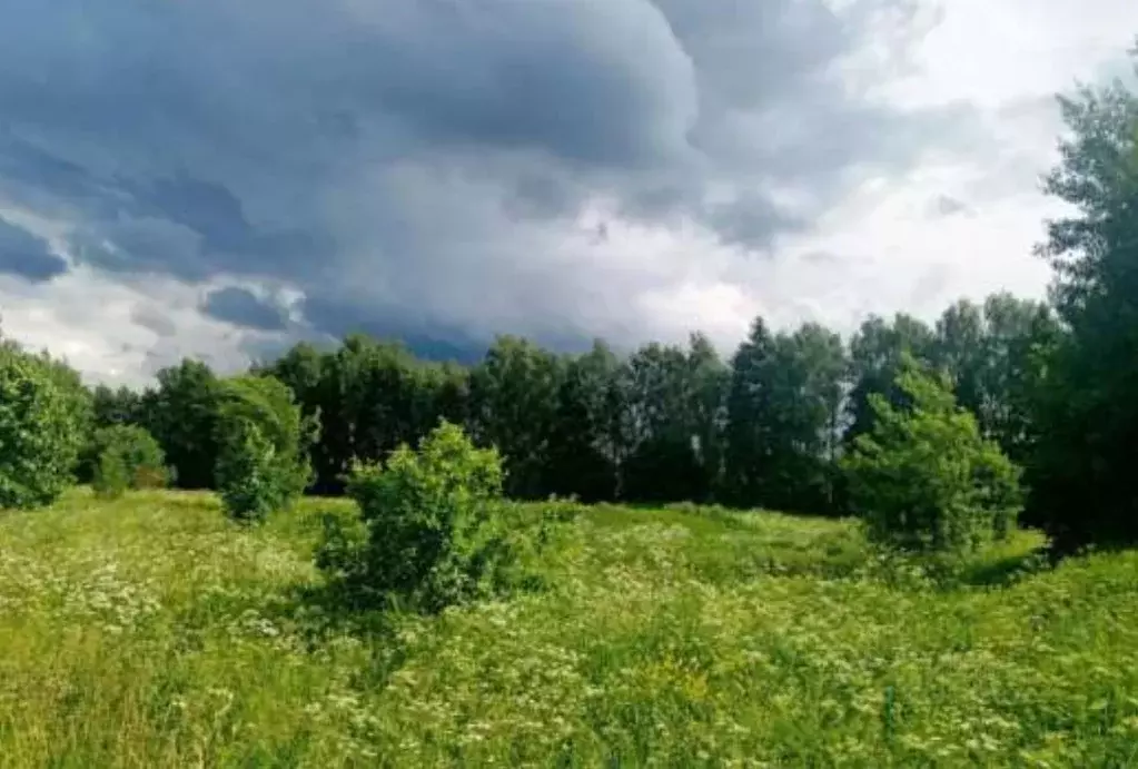 Участок в Московская область, Коломна городской округ, с. Андреевское  ... - Фото 1
