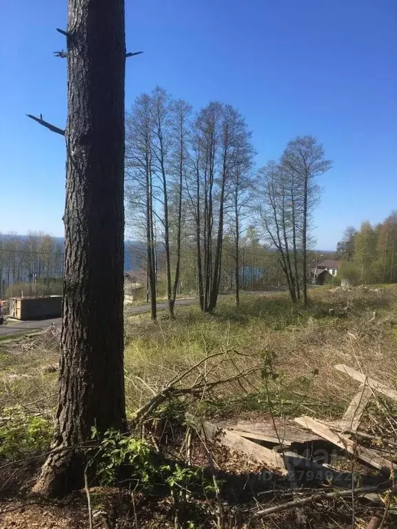 Участок в Ленинградская область, Выборгский район, Полянское с/пос, ... - Фото 2