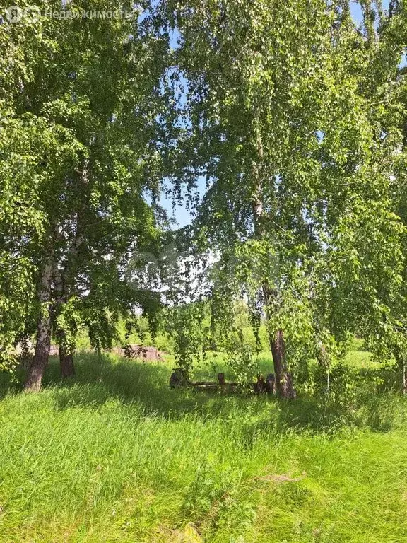 Участок в Новосибирский район, село Криводановка (15.13 м) - Фото 1