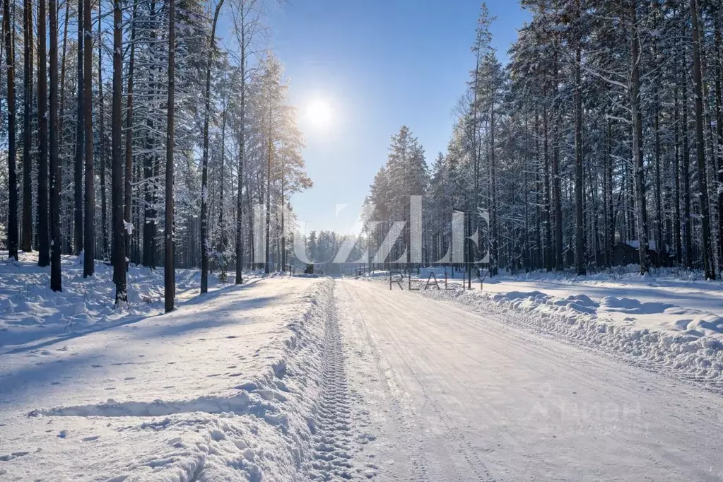 Участок в Ленинградская область, Приозерский район, Петровское с/пос, ... - Фото 1