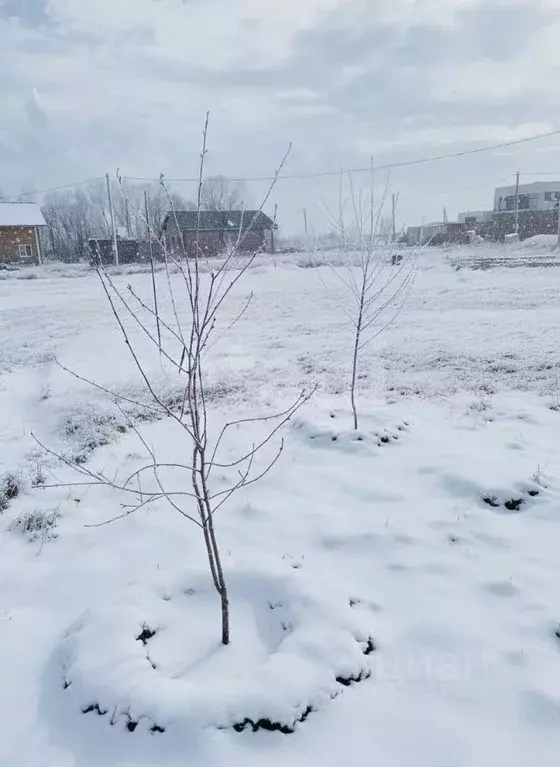 Участок в Татарстан, с. Верхний Услон ул. Московская, 6 (7.0 сот.) - Фото 1