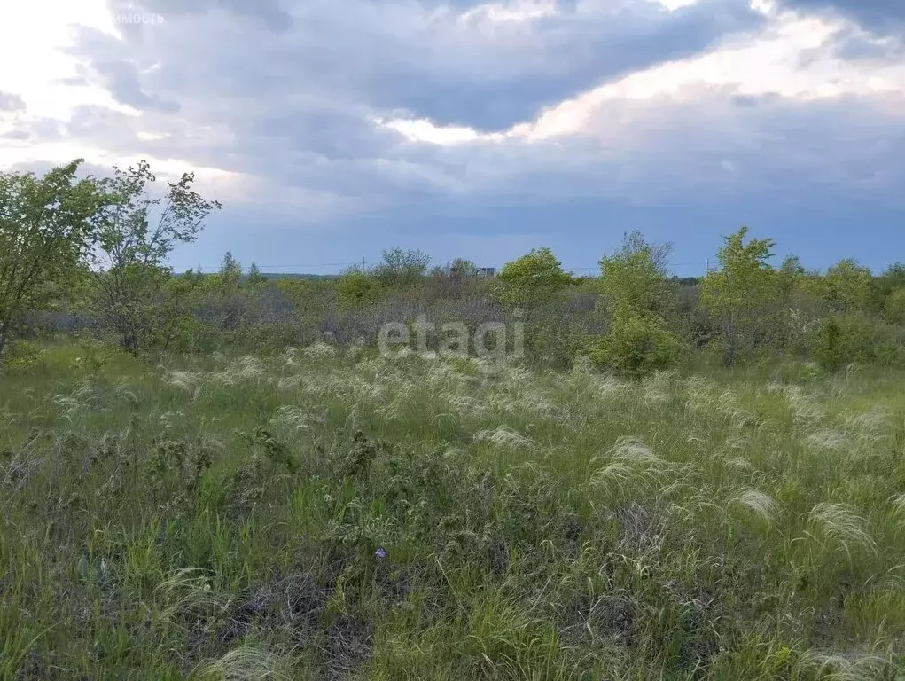 Участок в Аровский сельсовет, СТ Черёмушки (14.5 м) - Фото 1
