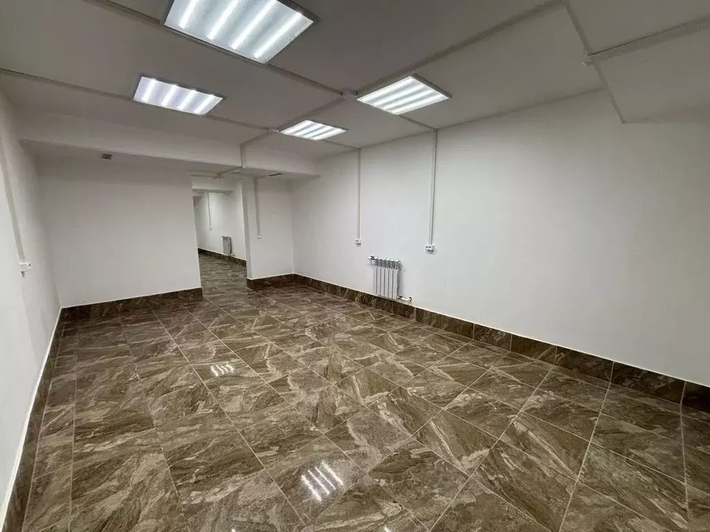 Помещение свободного назначения в Санкт-Петербург пос. Шушары, пер. ... - Фото 1