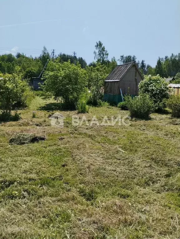 Участок в Ленинградская область, Волосовский район, д. Большая Вруда 3 ... - Фото 2