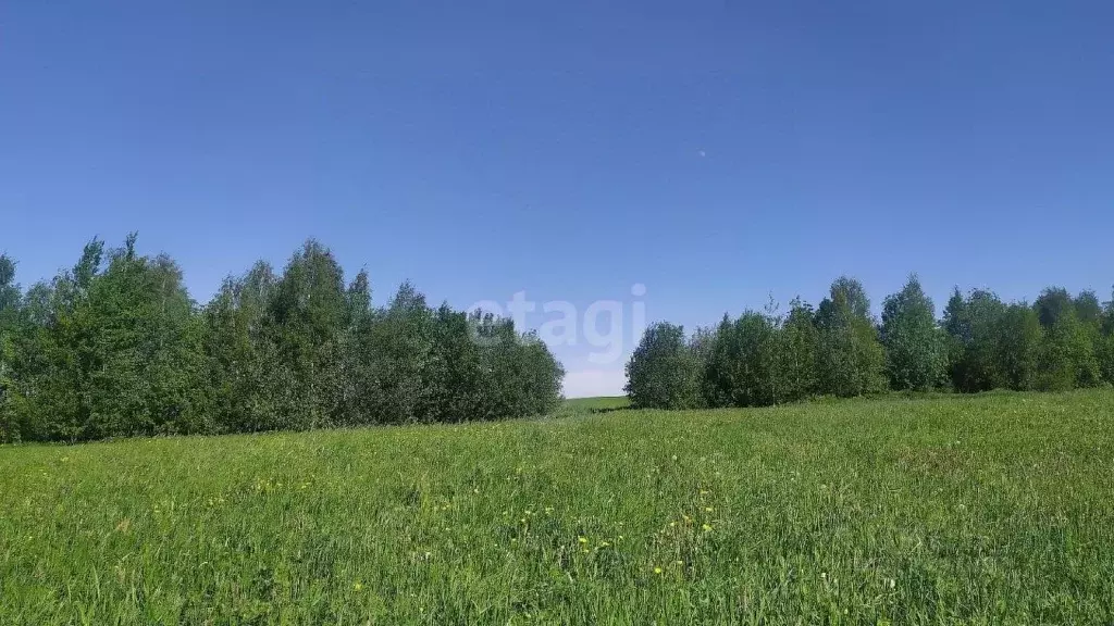 Участок в Вологодская область, Вашкинский муниципальный округ, д. ... - Фото 2