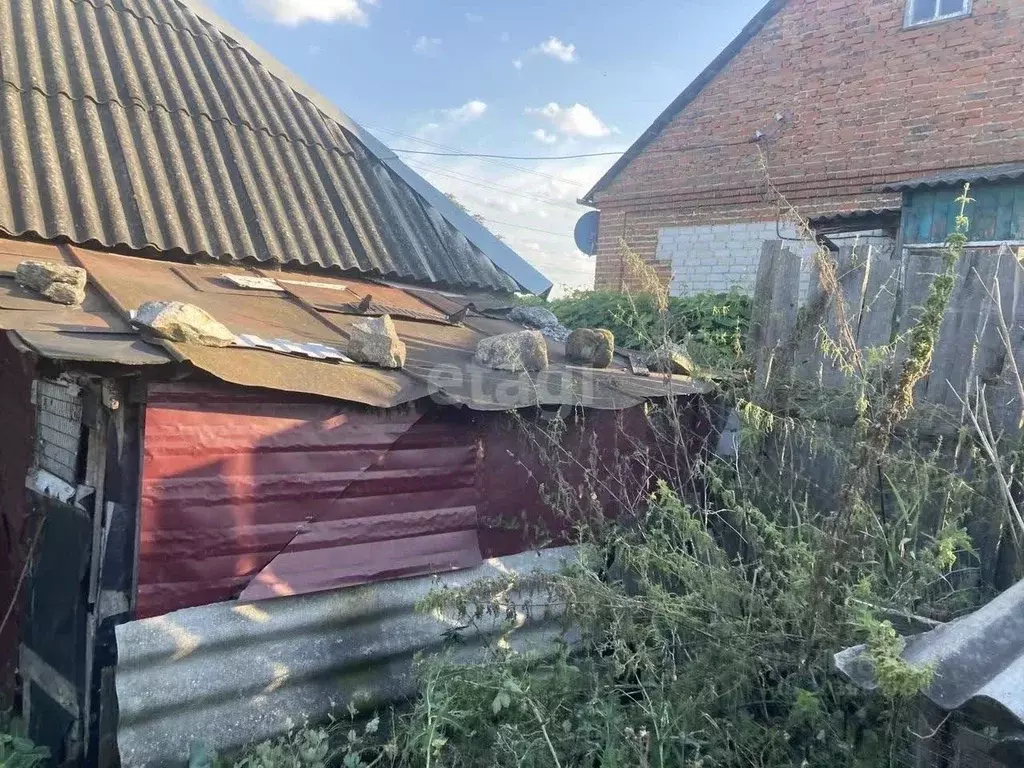 Участок в Воронежская область, Семилукский район, с. Девица ул. ... - Фото 1