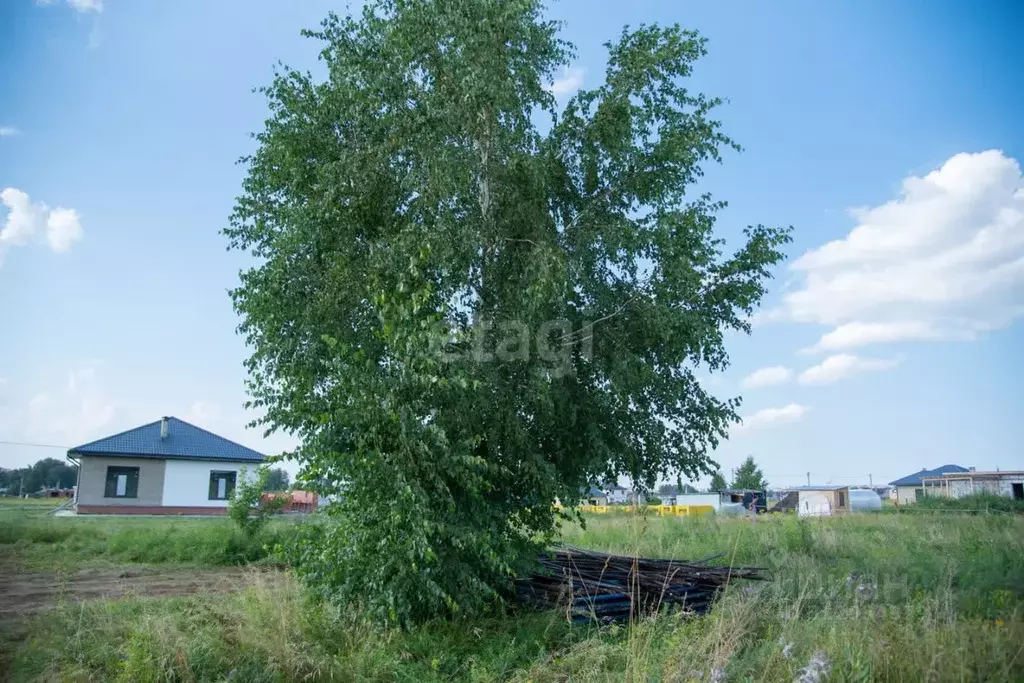 Участок в Новосибирская область, Бердск ул. Осенняя (8.0 сот.) - Фото 0