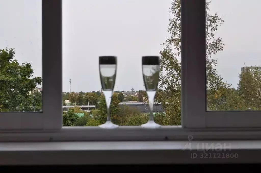 3-к кв. Псковская область, Псков ул. 1-я Поселочная, 13 (70.0 м) - Фото 2