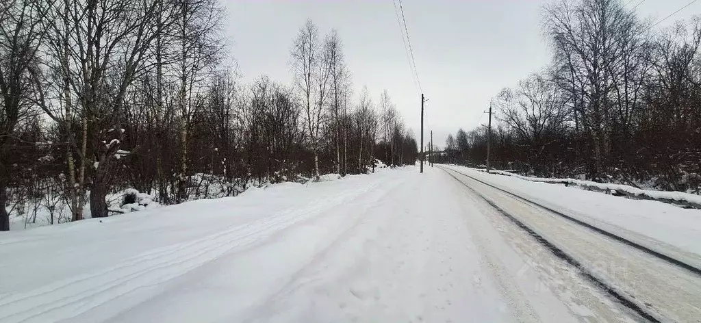 Участок в Карелия, Кондопожский район, Янишпольское с/пос, с. Янишполе ... - Фото 1