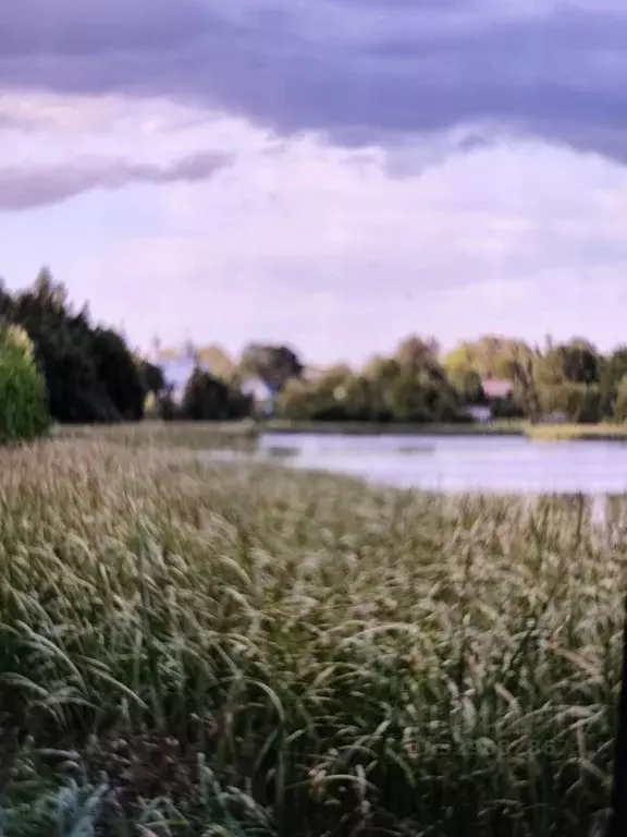 Участок в Псковская область, Пушкиногорский муниципальный округ, с. ... - Фото 2