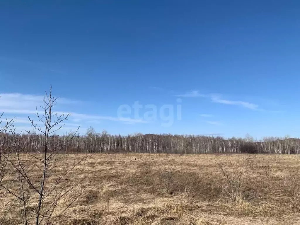 Участок в Хабаровский край, Комсомольск-на-Амуре  (10.0 сот.) - Фото 1