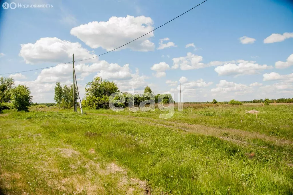 Участок в Карачинское сельское поселение, деревня Долбилова (15 м) - Фото 0