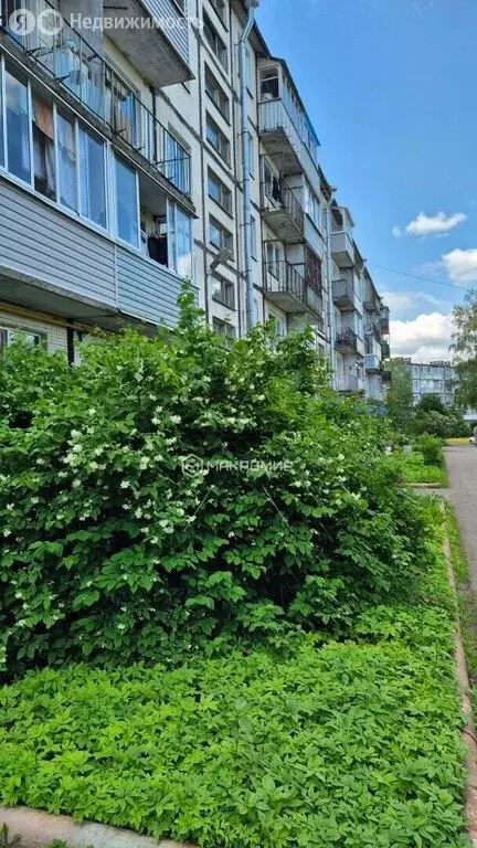 2-комнатная квартира: посёлок Володарское, 2 (45 м) - Фото 1