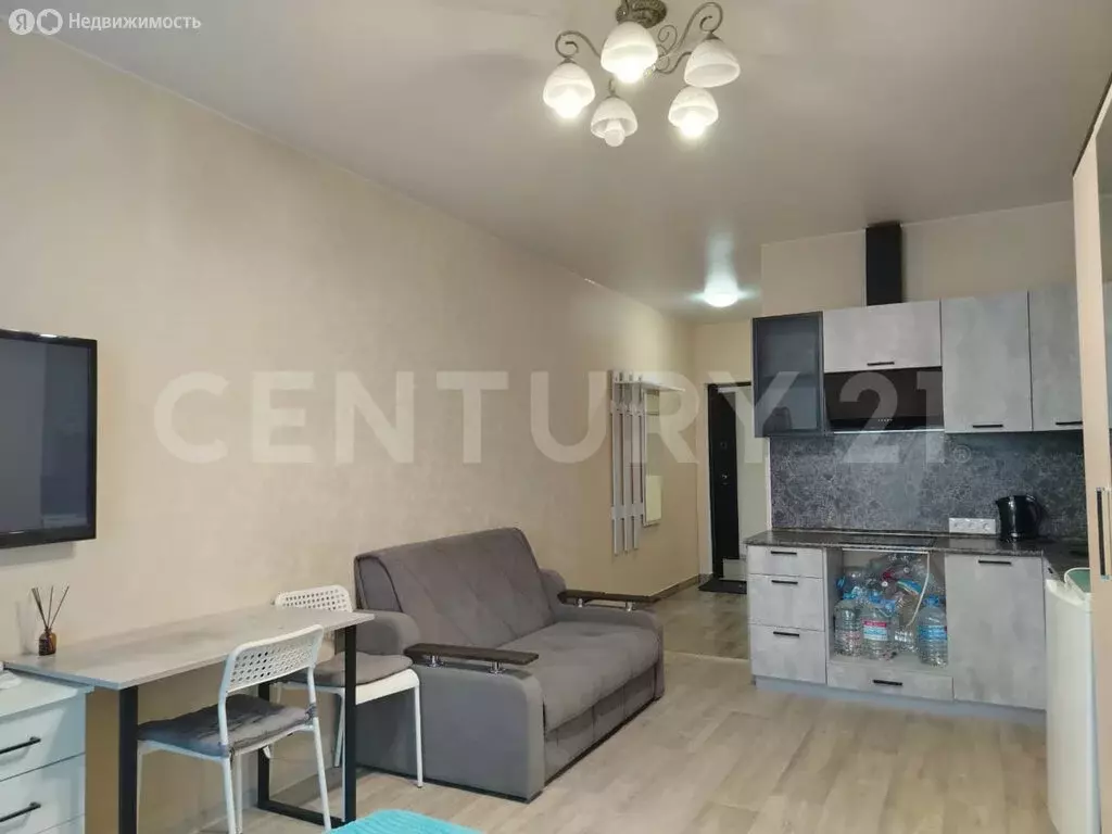 Квартира-студия: село Мысхако, Счастливый переулок, 26 (27.7 м) - Фото 1