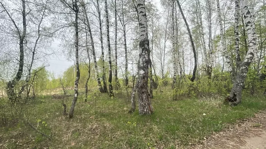 Участок в Московская область, Ступино городской округ, д. Щапово  ... - Фото 0