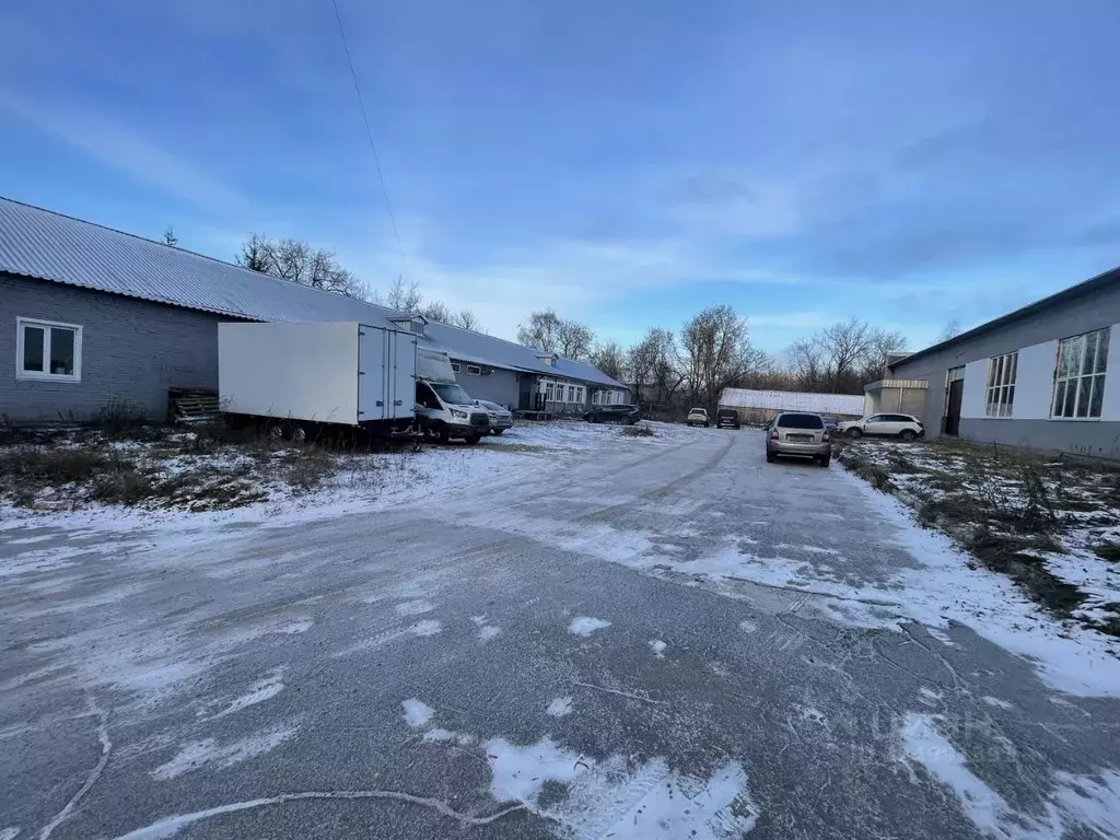 Помещение свободного назначения в Московская область, Люберцы пос. ... - Фото 0