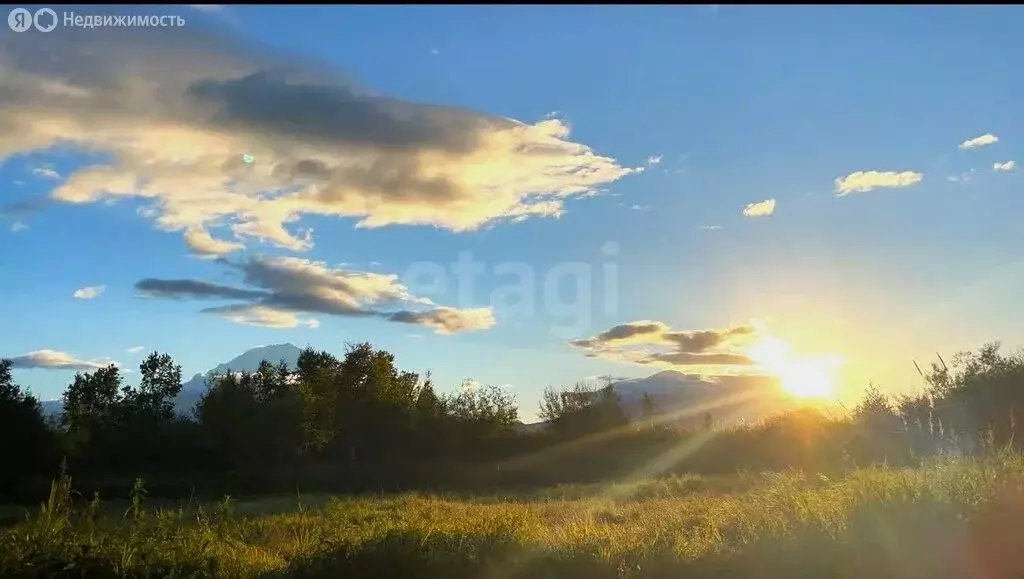 Участок в Елизово, СНТ Организатор-2 (6 м) - Фото 1