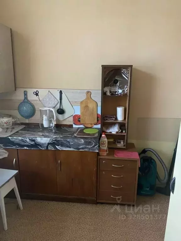 Комната Москва Зеленый просп., 46 (17.0 м) - Фото 1