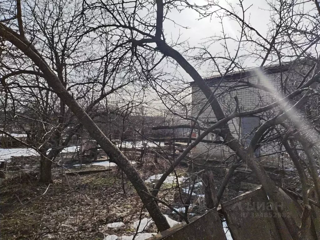 Дом в Саратовская область, Саратов ул. Монашенская (60 м) - Фото 2