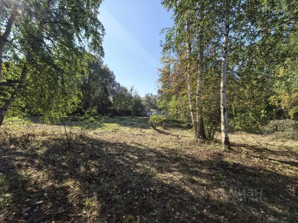 Участок в Ленинградская область, Ломоносовский район, Лебяженское ... - Фото 2