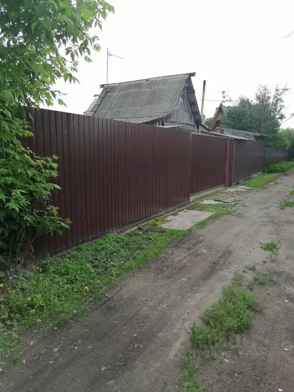 Дом в Омская область, Омск Сатурн нижний СНТ, аллея 3-я (39 м) - Фото 2