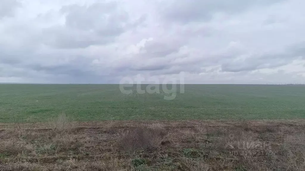 Участок в Крым, Сакский район, Штормовское с/пос, Дружба-2 СНТ  (6.0 ... - Фото 0