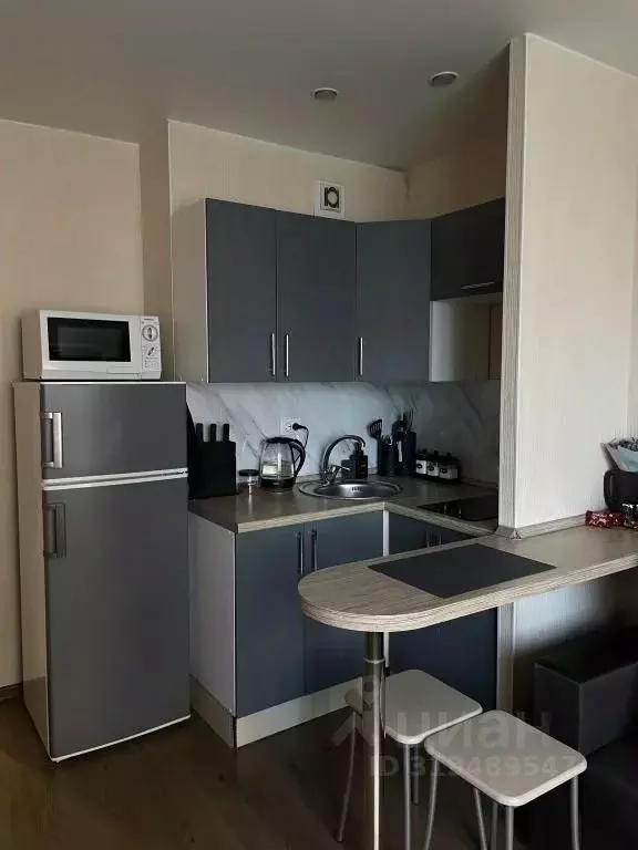 1-к кв. Санкт-Петербург ул. Шкапина, 9-11 (26.0 м) - Фото 1