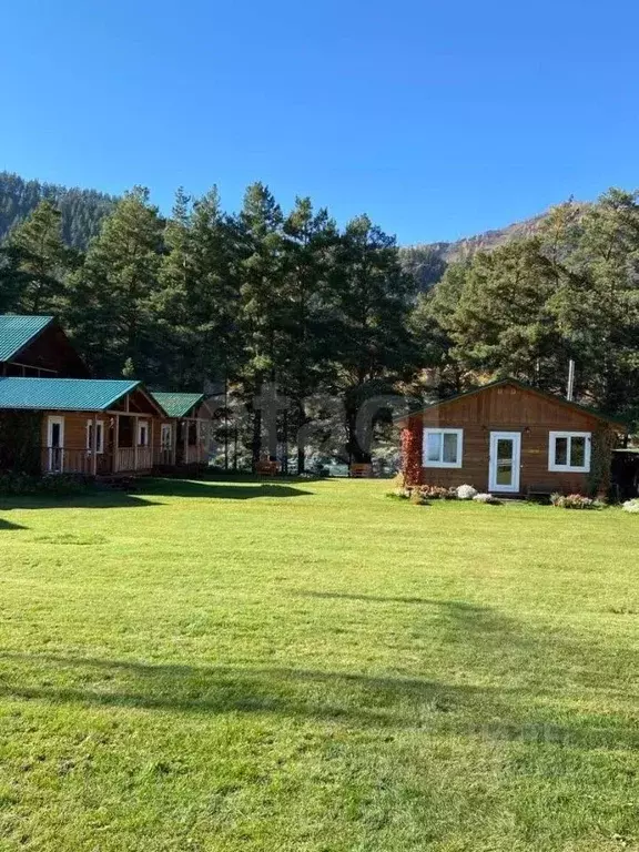 Дом в Алтай, Чемальский район, с. Чемал ул. Прикатунская, 69 (89 м) - Фото 1