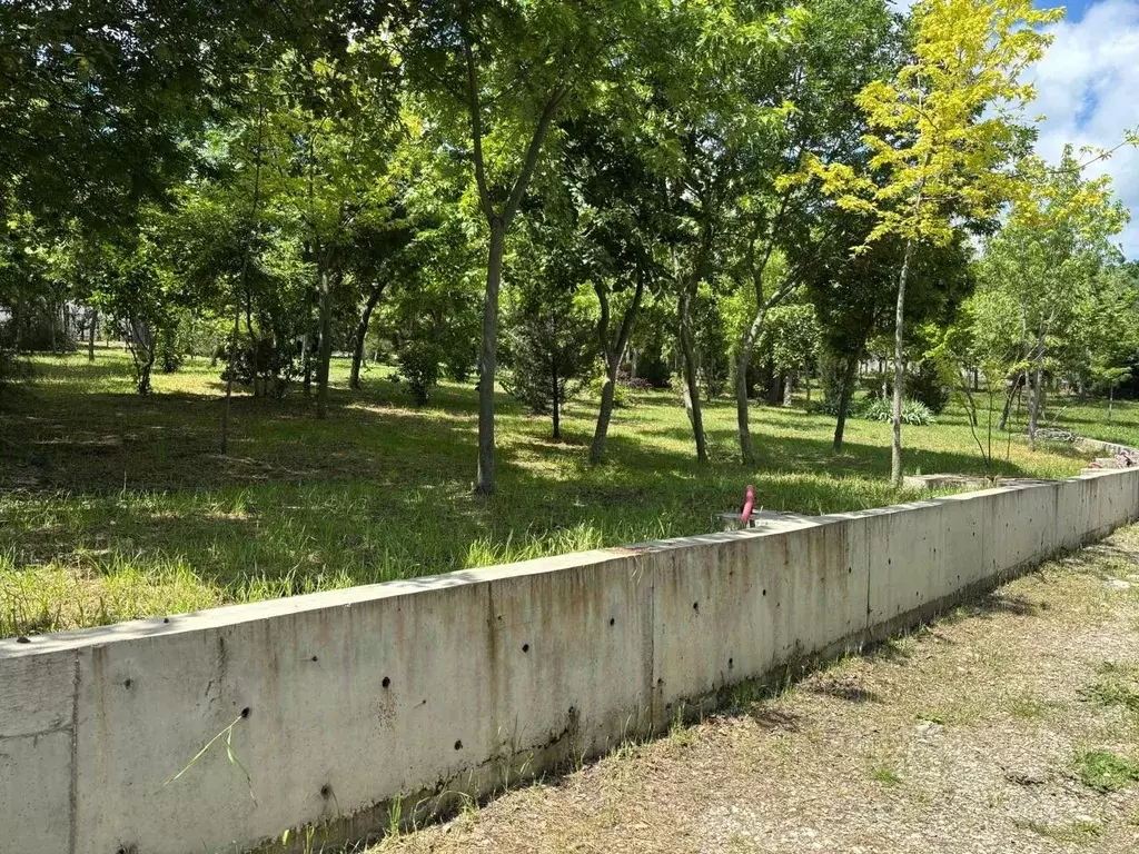 Участок в Краснодарский край, Новороссийск городской округ, с. ... - Фото 1