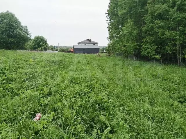 Участок 7,5 сот. (ИЖС) - Фото 0