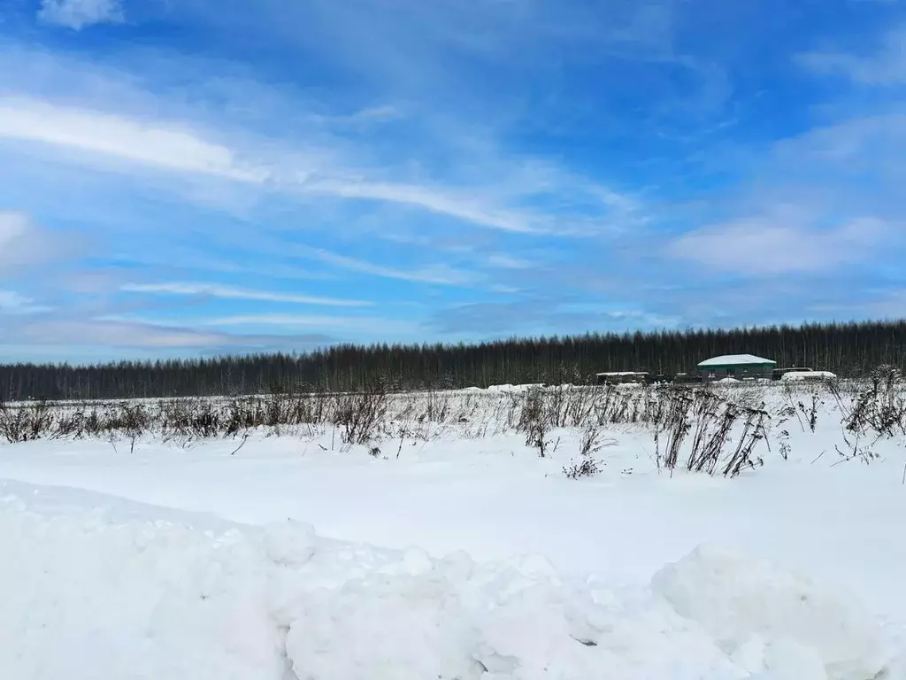 Участок в Московская область, Раменский муниципальный округ, Оттепель ... - Фото 2