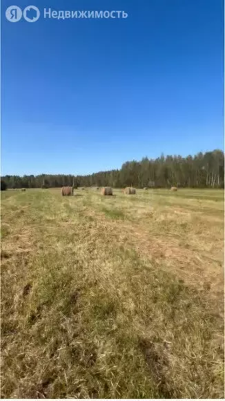Участок в Ярославская область, Рыбинский муниципальный округ, деревня ... - Фото 2