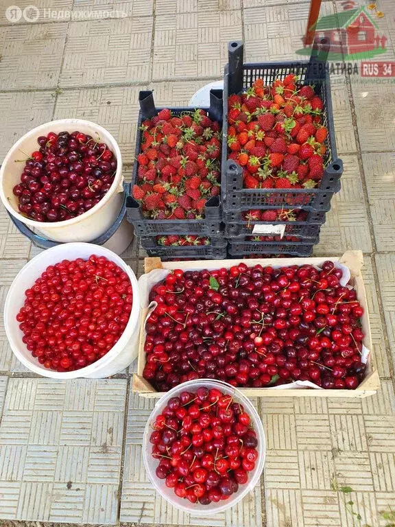 Дом в Волгоград, посёлок Верхняя Ельшанка, Первая улица (30 м) - Фото 1