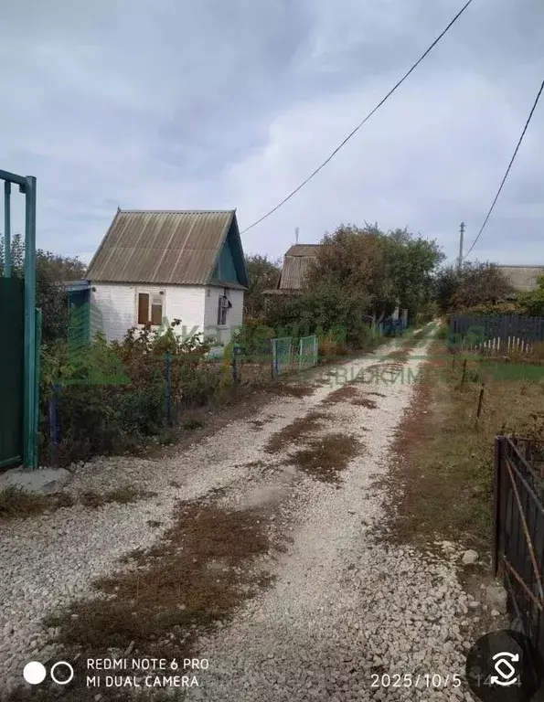 Дом в Саратовская область, Марксовский район, Приволжское ... - Фото 2