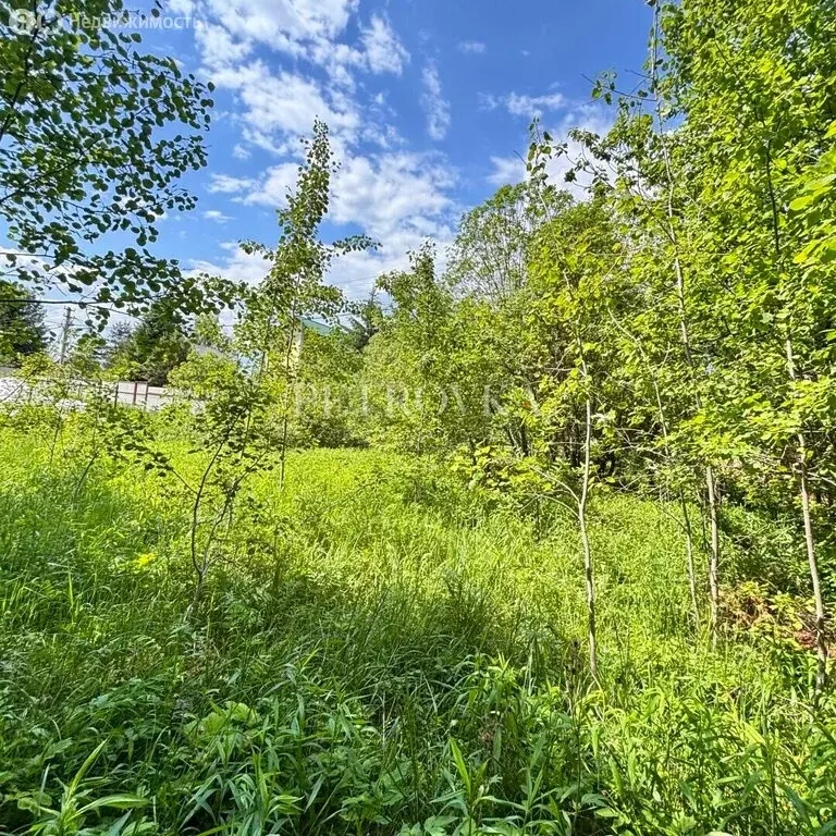 Участок в деревня Сандарово, Луговая улица, 16 (10 м) - Фото 2