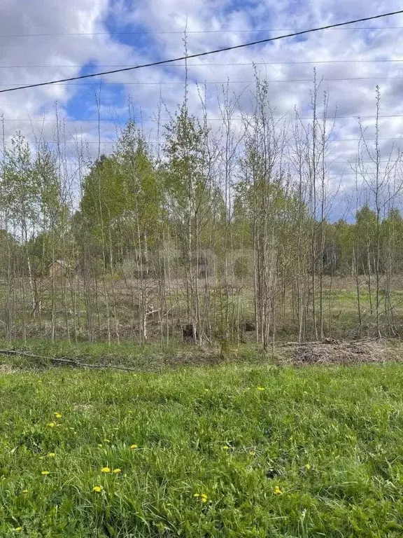 Участок в Калужская область, Юхновский муниципальный округ, Беляево ... - Фото 1